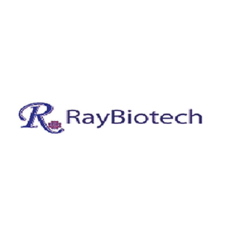 Porcine Cytokine Array GS5