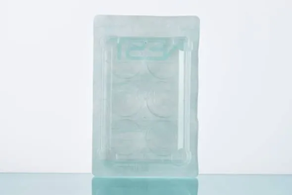 玻底培养板，φ10mm，24孔，TC，灭菌