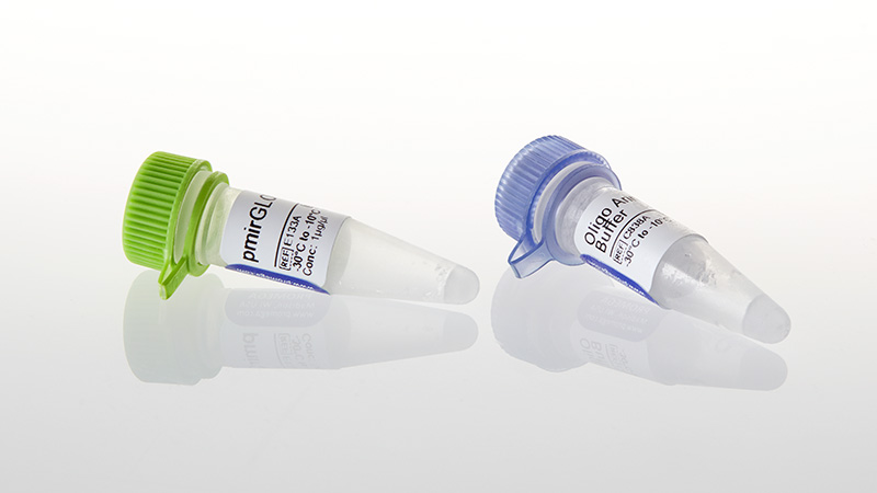 pmirGLO Dual-Luciferase miRNA Target Expression Vector