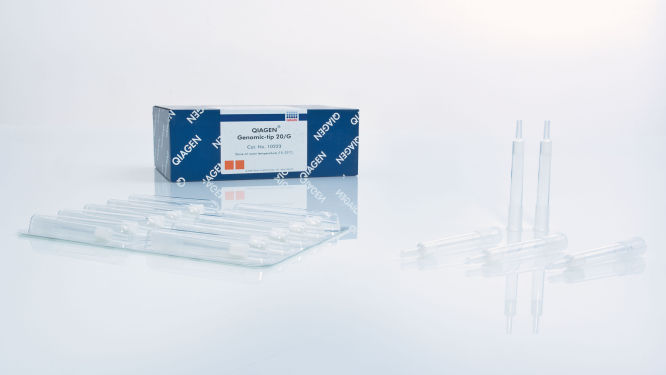 QIAGEN Genomic-Tip 20/G (25)