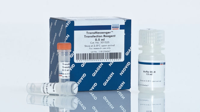 TransMessenger Tranfect. Reagent(0.5ml)